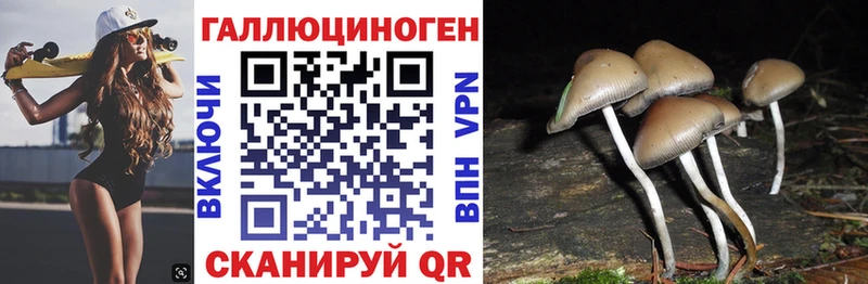 купить   Печора  Галлюциногенные грибы Cubensis 